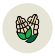 ico-4
